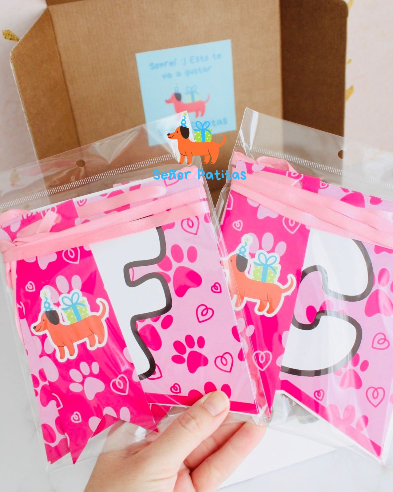 Kit Deco Señor Patitas Rosa