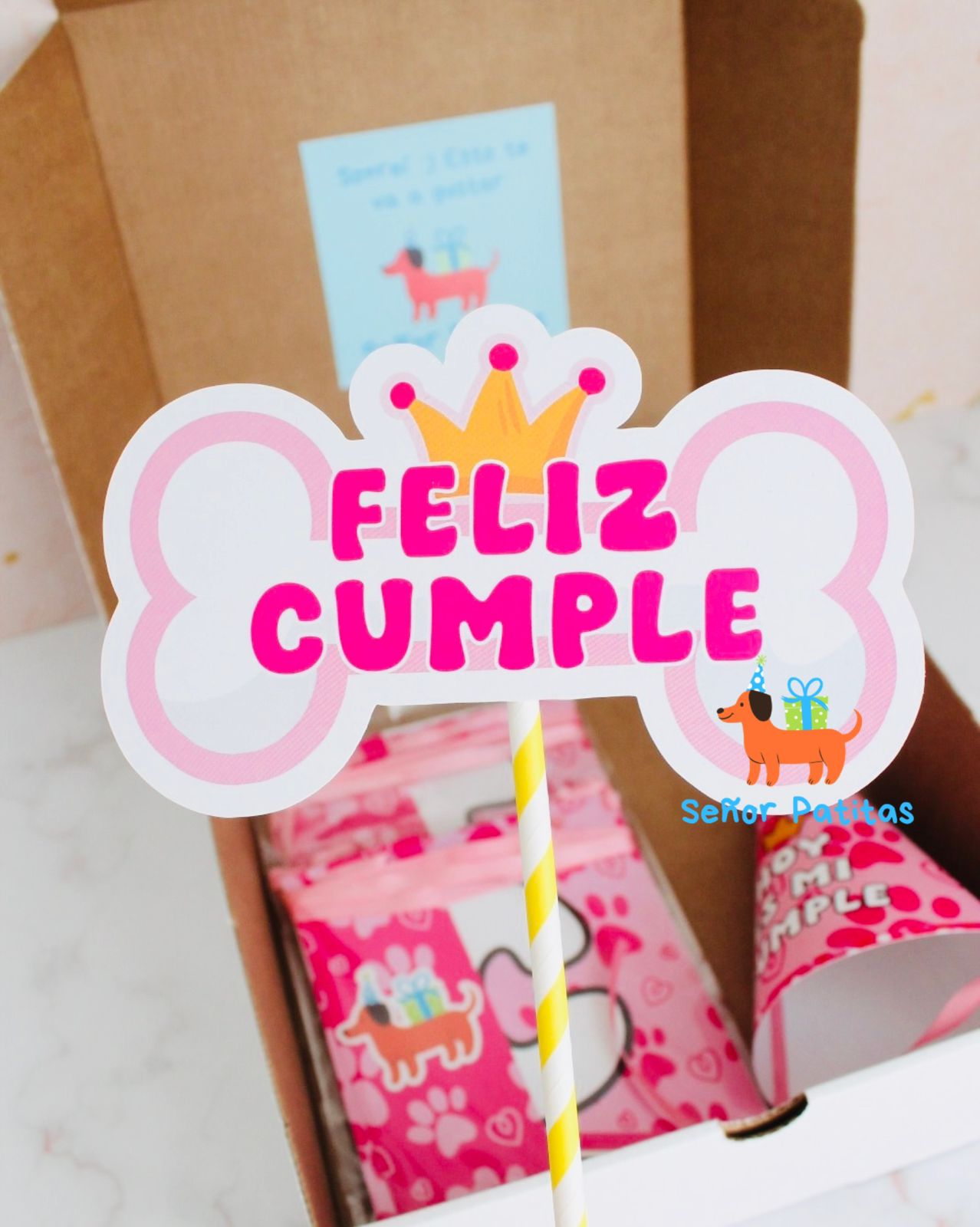 Kit Deco Señor Patitas Rosa