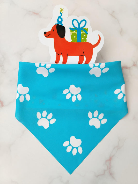 Pañoleta Huellitas para Mascotas Celeste