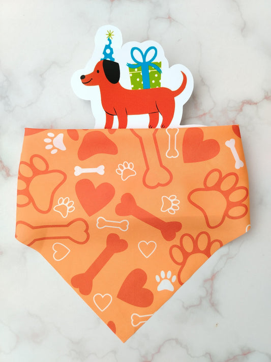 Pañoleta para Mascotas Huellitas y Huesito Naranja