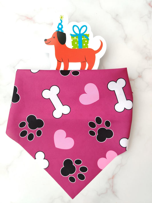 Pañoleta para Mascotas Huellitas y Huesito Magenta
