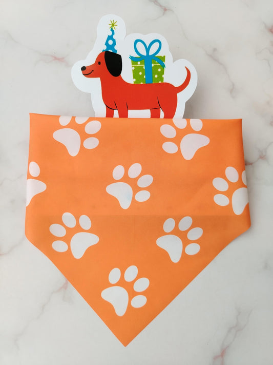 Pañoleta para Mascotas Huellitas Naranja
