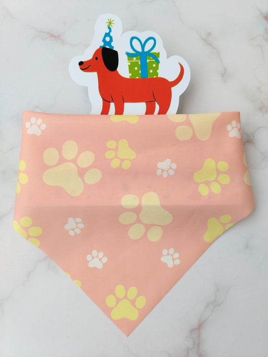 Pañoleta para Mascotas Huellitas Rosa Claro