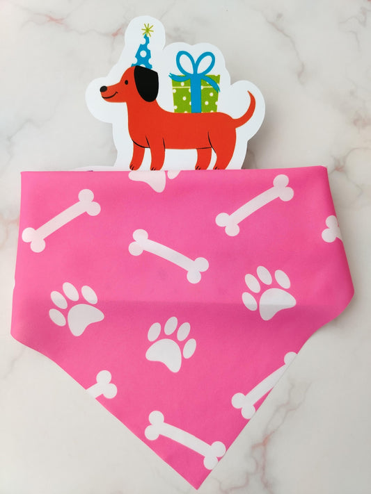 Pañoleta para Mascotas Huellitas y Huesito Rosa