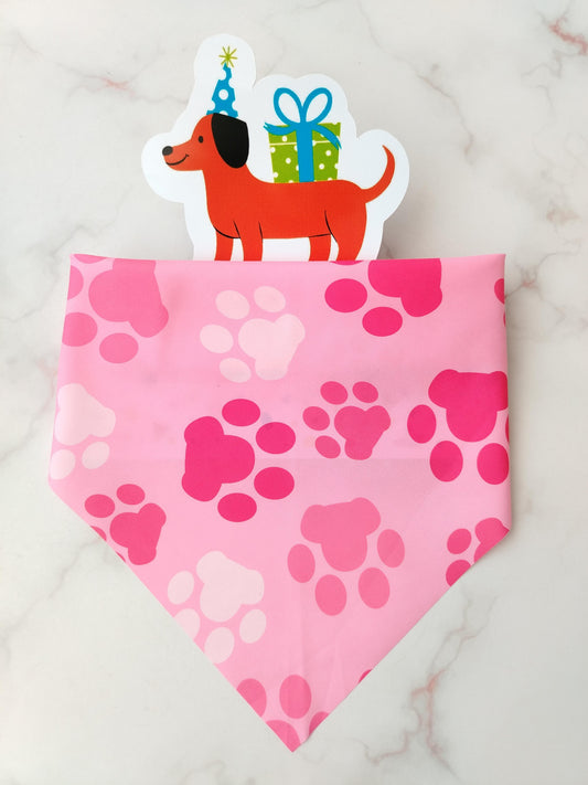 Pañoleta para Mascotas Huellitas Rosita