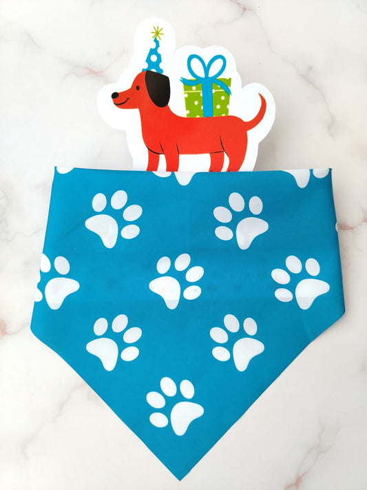 Pañoleta para Mascotas Huellitas Azul