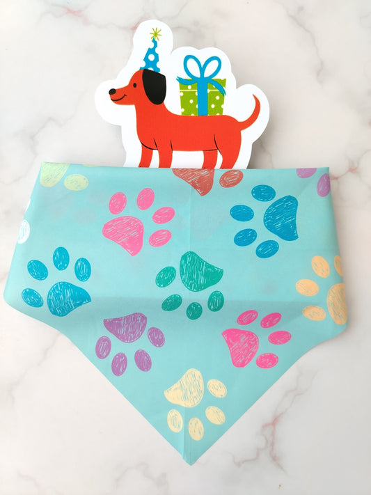 Pañoleta Huellitas para Mascotas Celeste Colorido